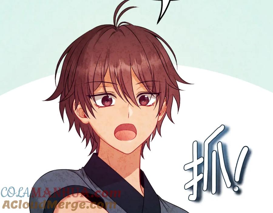 太阳的主人 - 番外完结篇 新的开始 - 第189张图