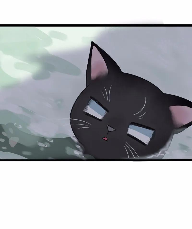 太子得了失心疯 - 033 喵国师 - 第9张图