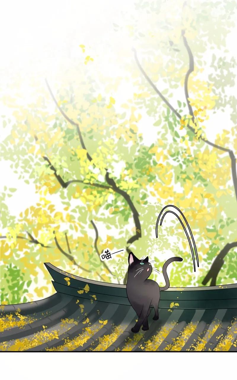 太子得了失心疯 - 033 喵国师 - 第3张图