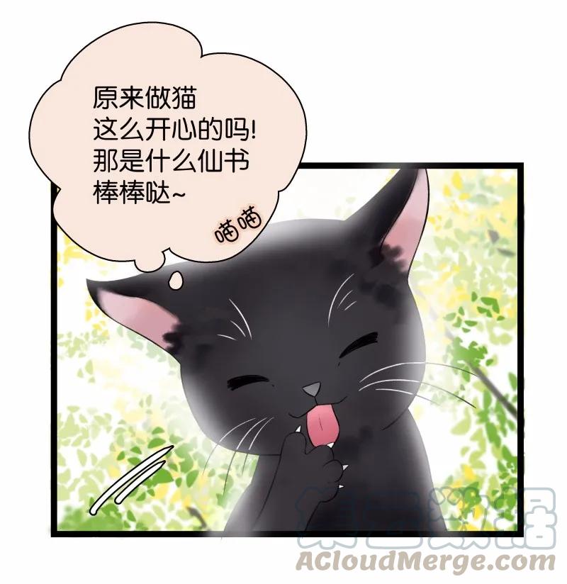 太子得了失心疯 - 033 喵国师 - 第4张图