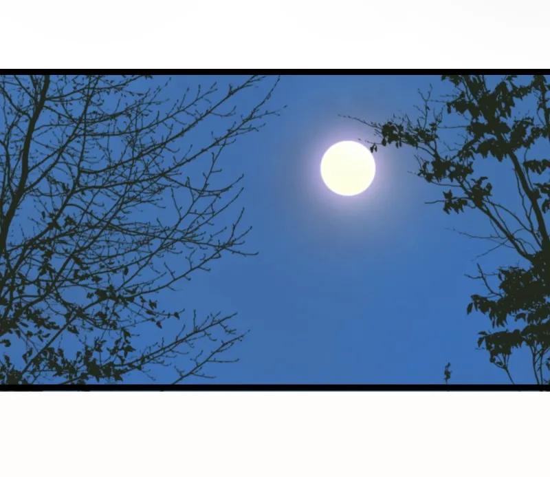 太子得了失心疯 - 043 太子的闺房 - 第14张图