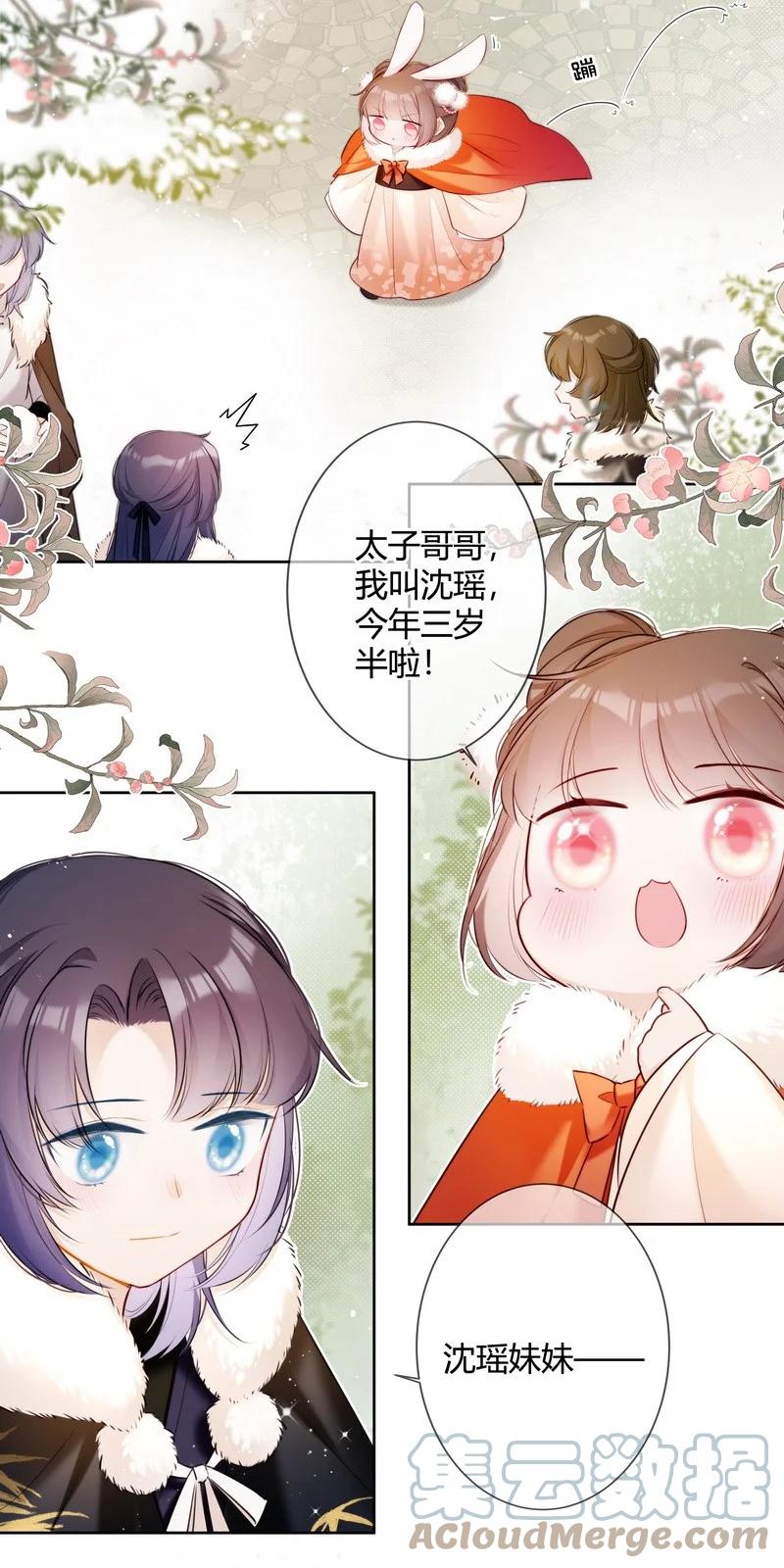 《太子有位心上人》001 沈家有女初长成 第12页