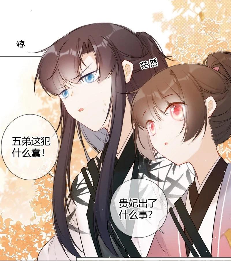 《太子有位心上人》019 太子殿下不好了 第10页
