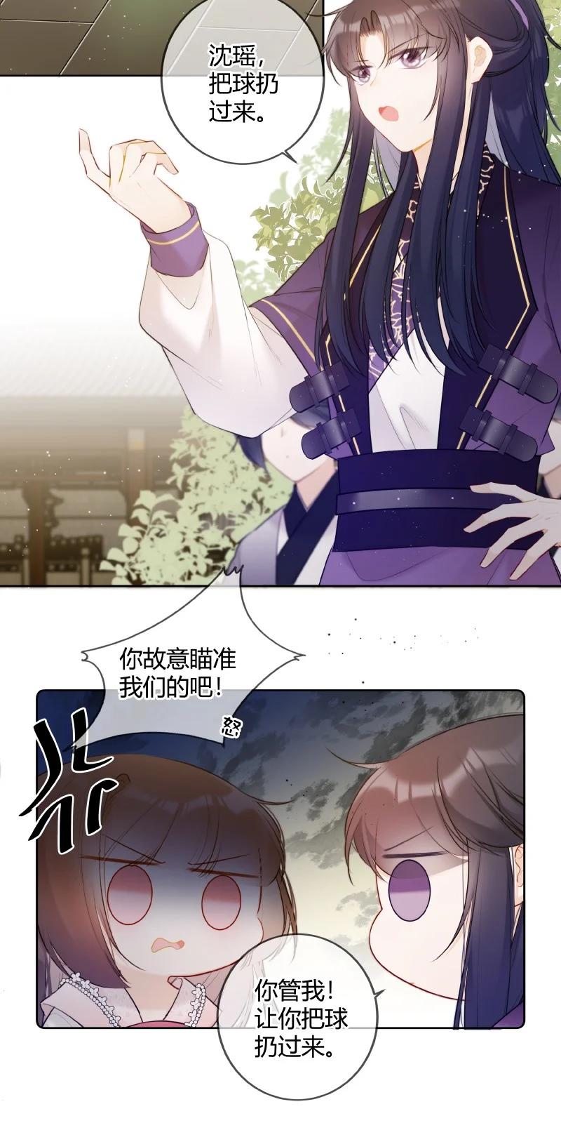 《太子有位心上人》033 请陛下革职处理 第12页