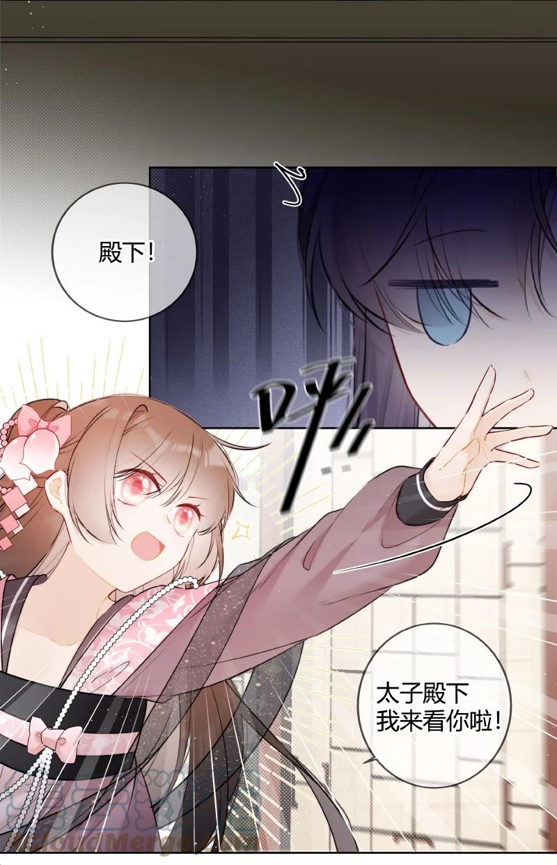 《太子有位心上人》048 瑶瑶传陛下口谕 第3页