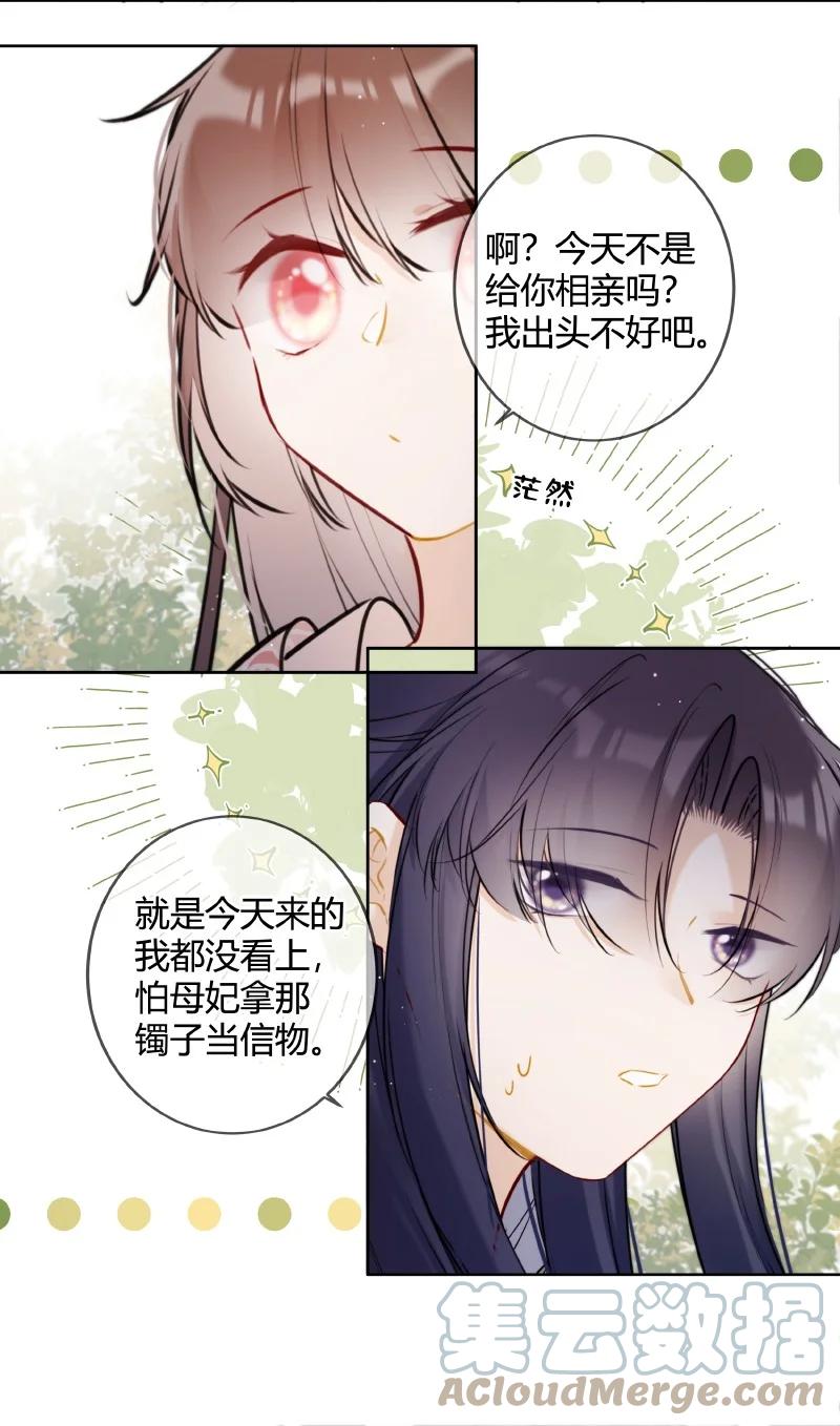 《太子有位心上人》053 好好保管此镯子 第13页
