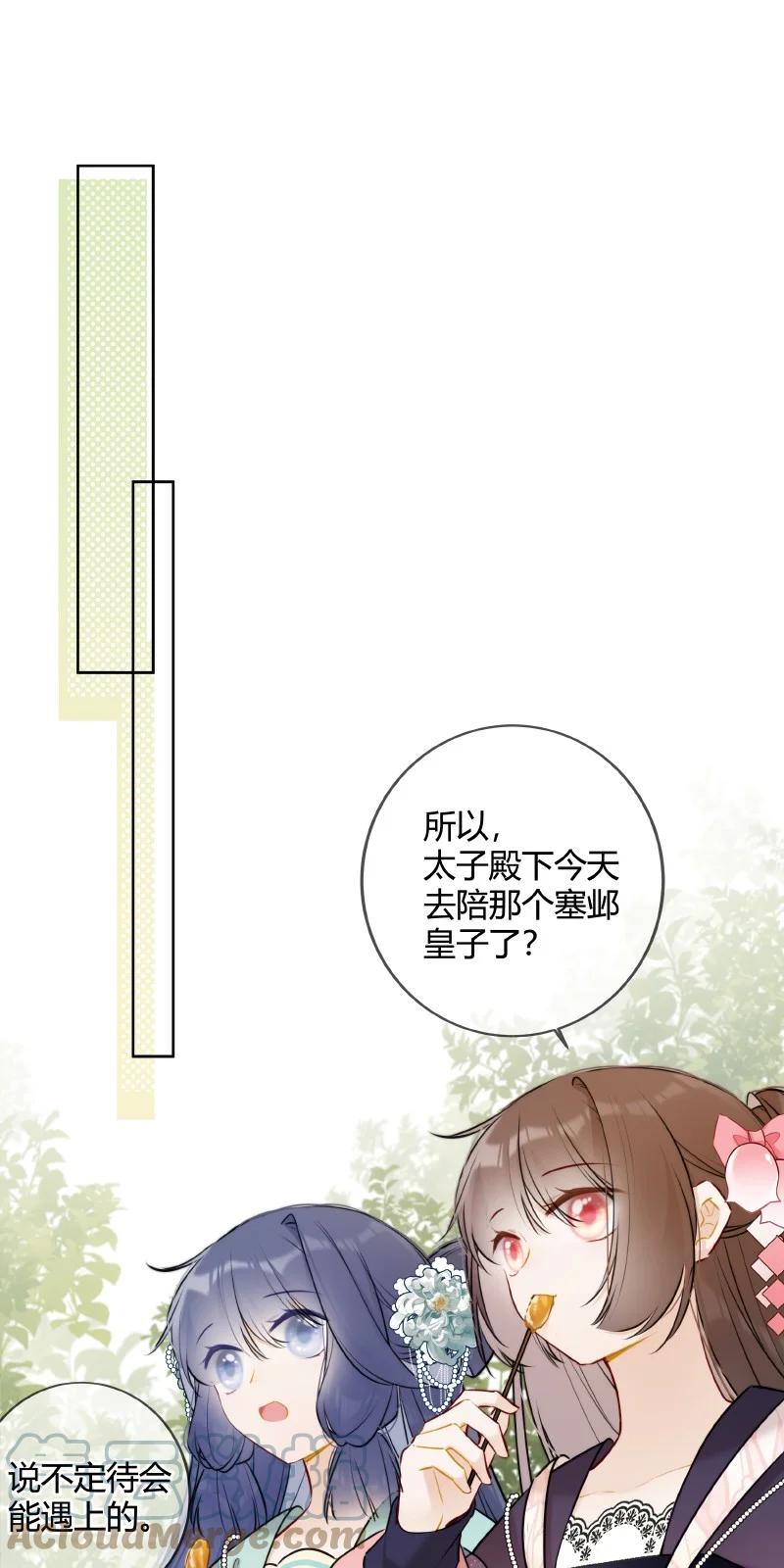 《太子有位心上人》055 塞邺皇子来觐见 第9页