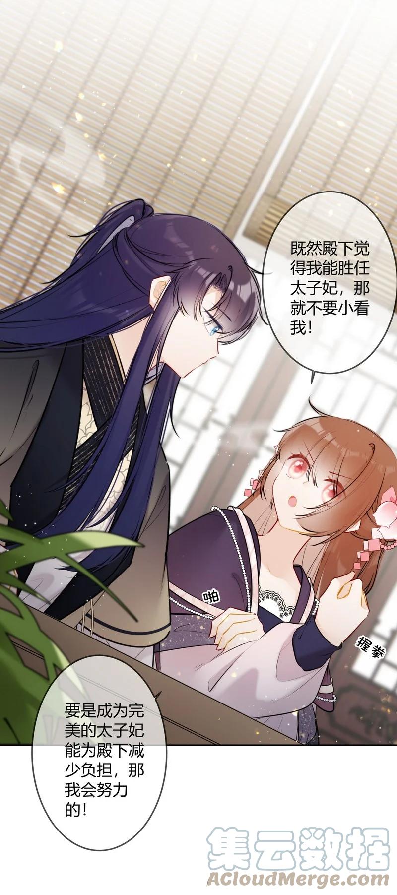 《太子有位心上人》063 甜咸粽口味之争 第17页
