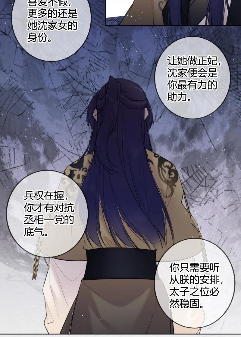 《太子有位心上人》071 若非身份还娶吗 第19页