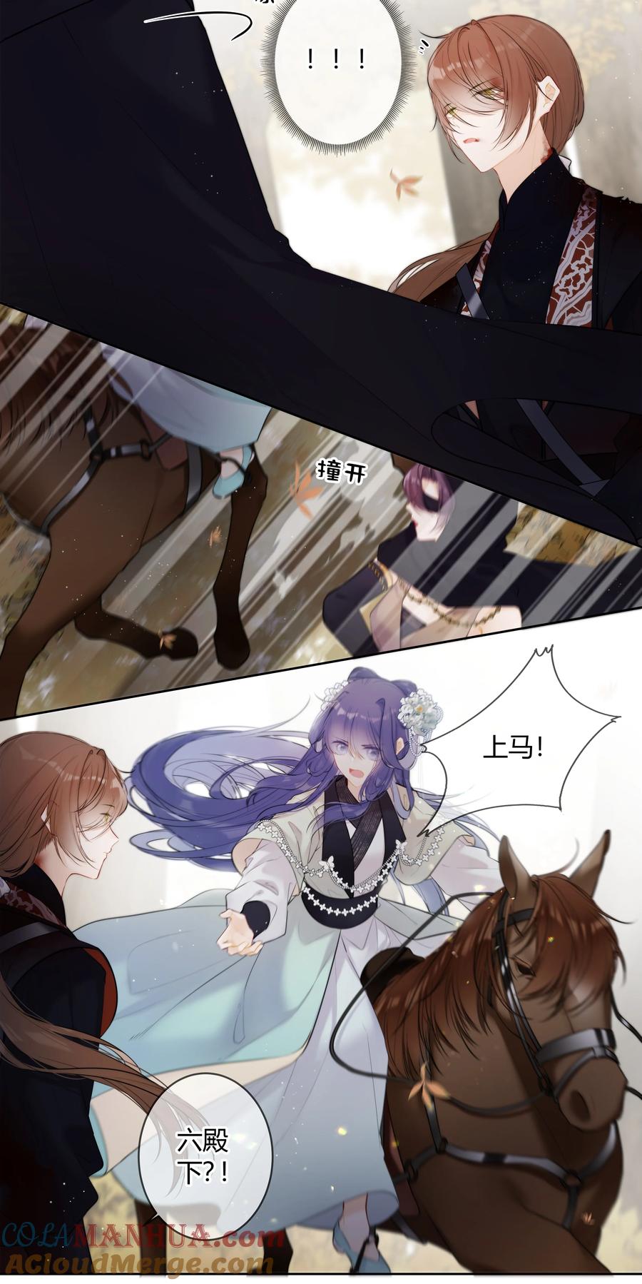 《太子有位心上人》090 袭击者为何人？！ 第9页