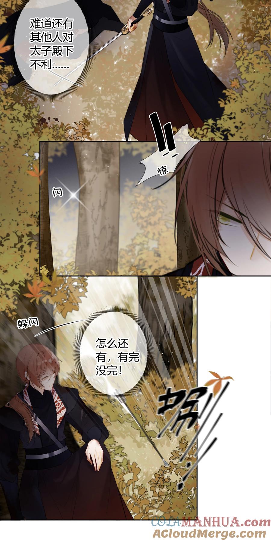 《太子有位心上人》090 袭击者为何人？！ 第3页