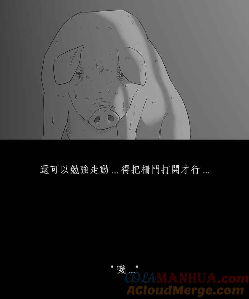 黑盒子 [第120话] 猪人(6) 第14页