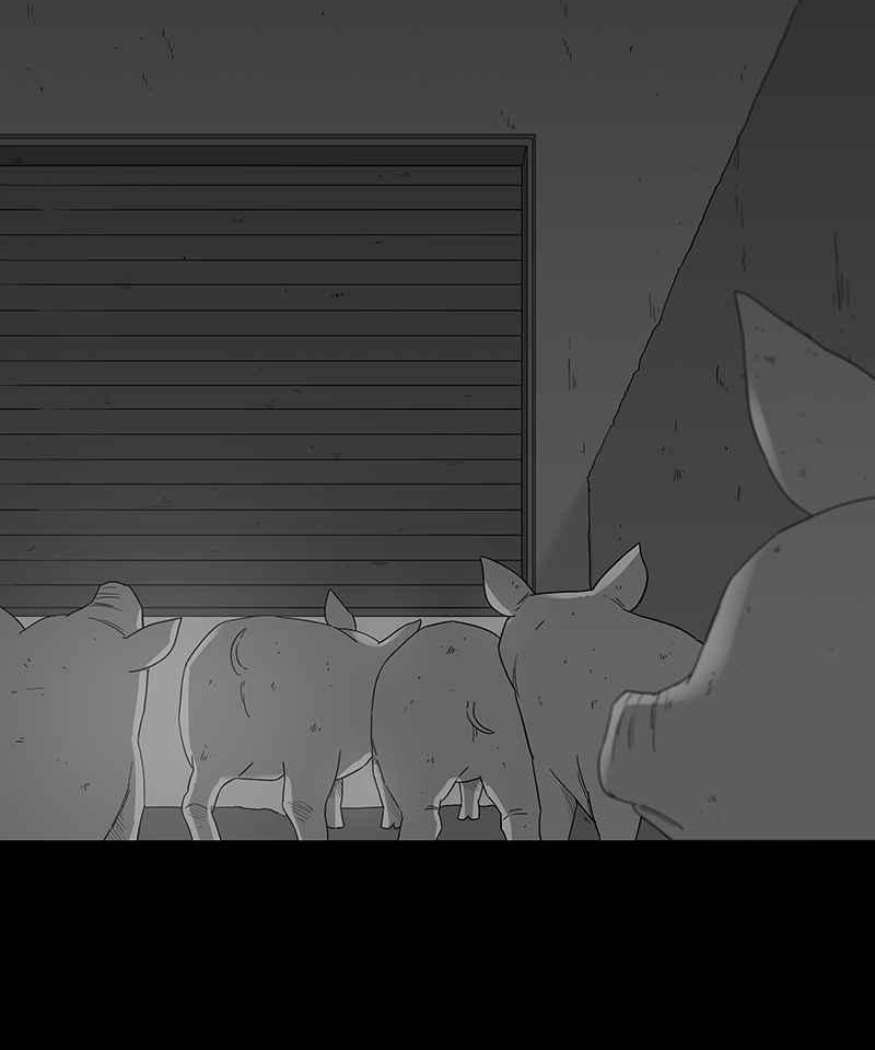 黑盒子 [第120话] 猪人(6) 第19页