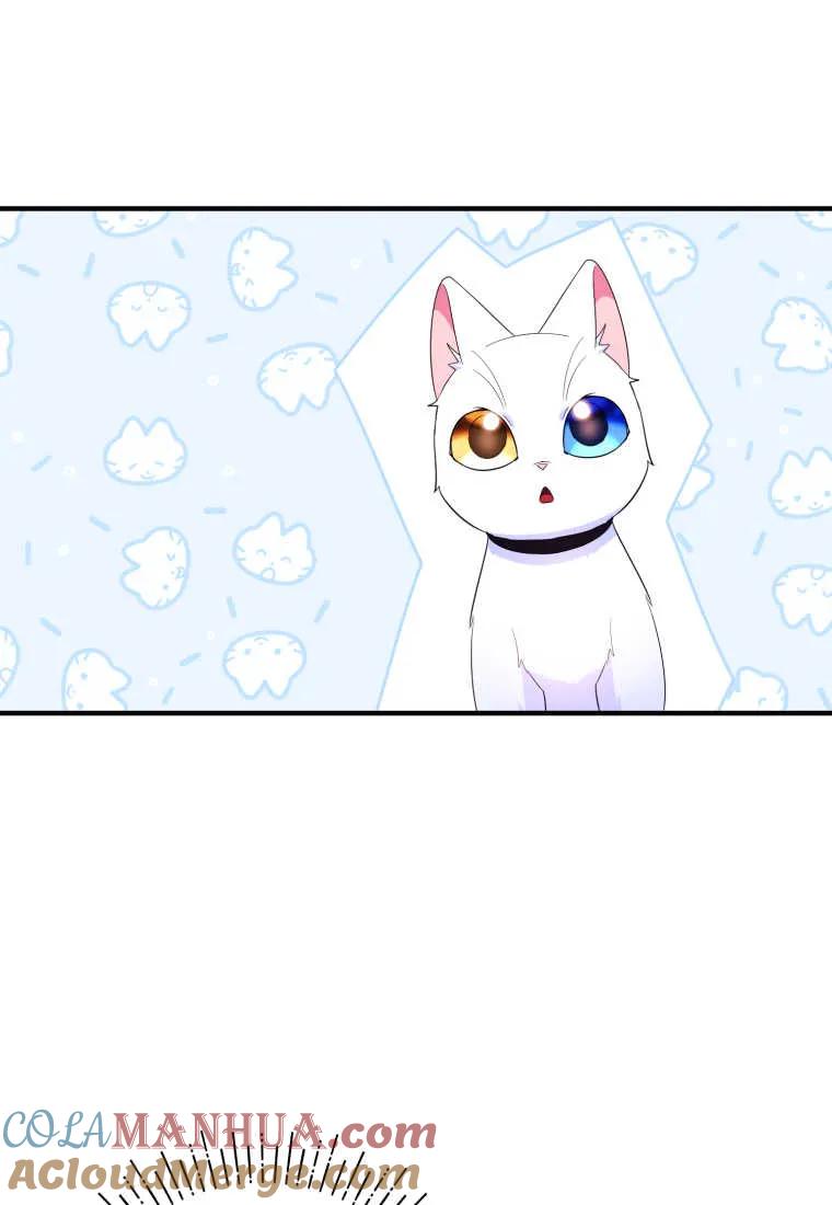 成为苏尔坦珍爱的猫咪 第24话 第33页