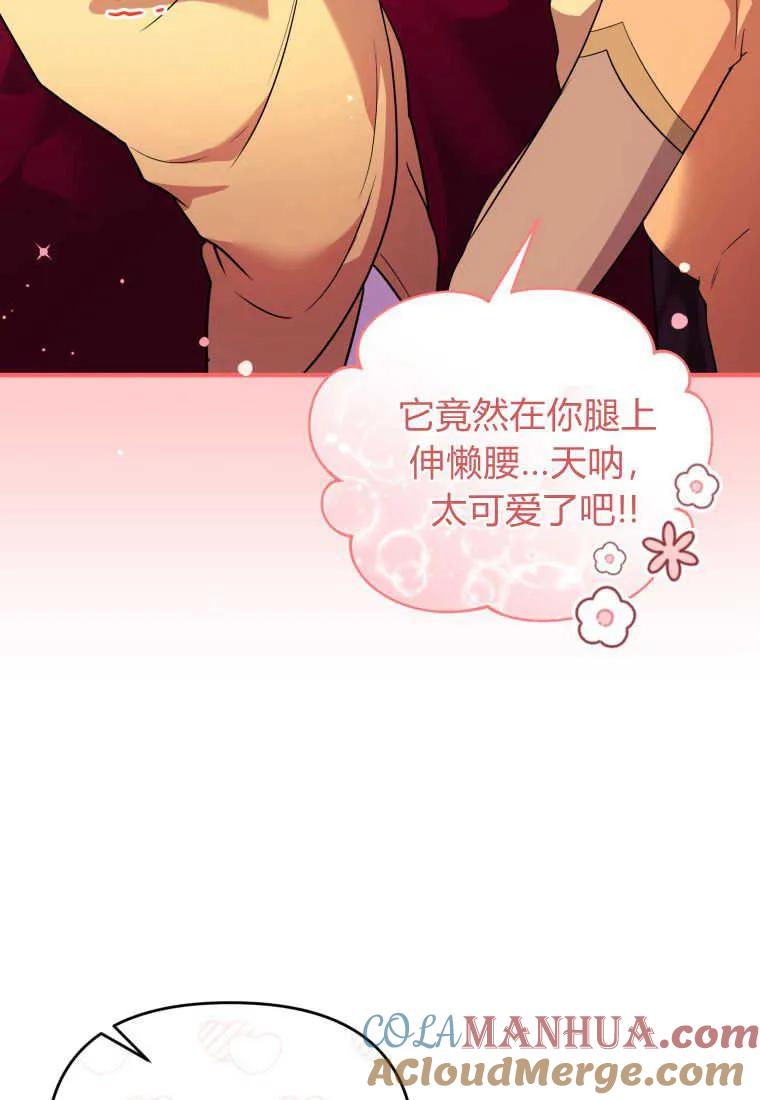 成为苏尔坦珍爱的猫咪 第24话 第13页