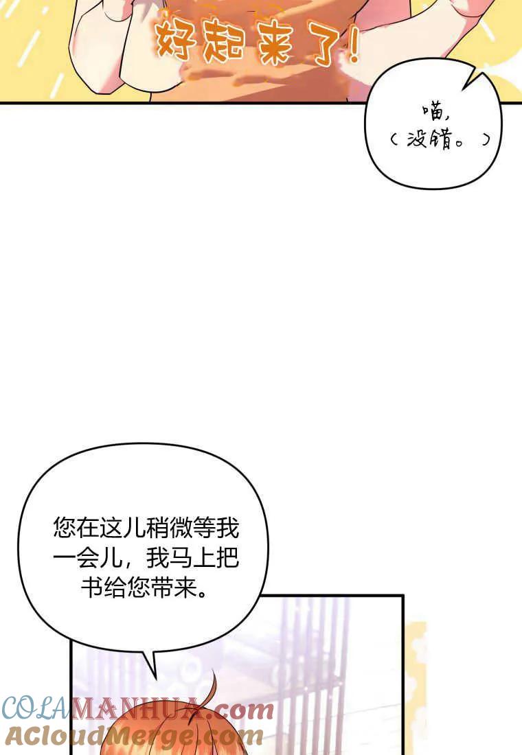 成为苏尔坦珍爱的猫咪 第24话 第41页