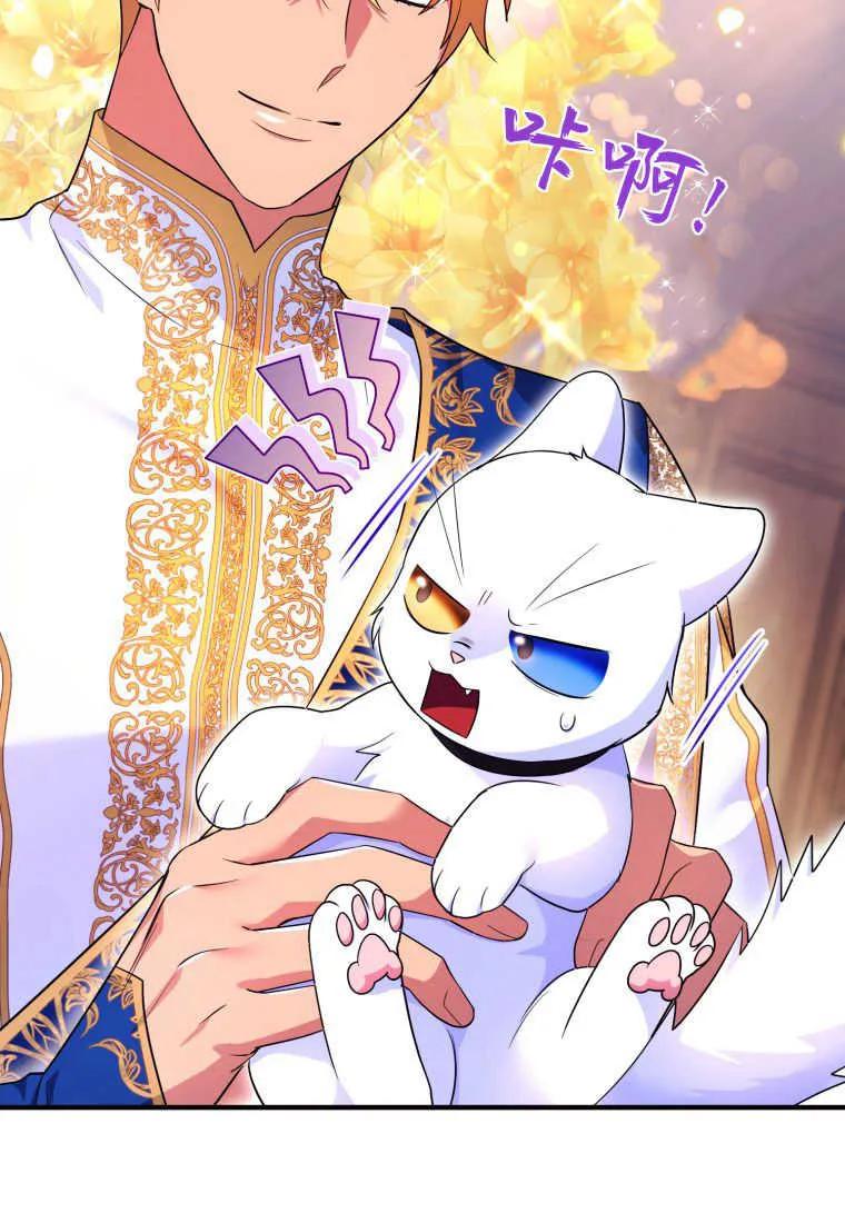 成为苏尔坦珍爱的猫咪 第24话 第51页
