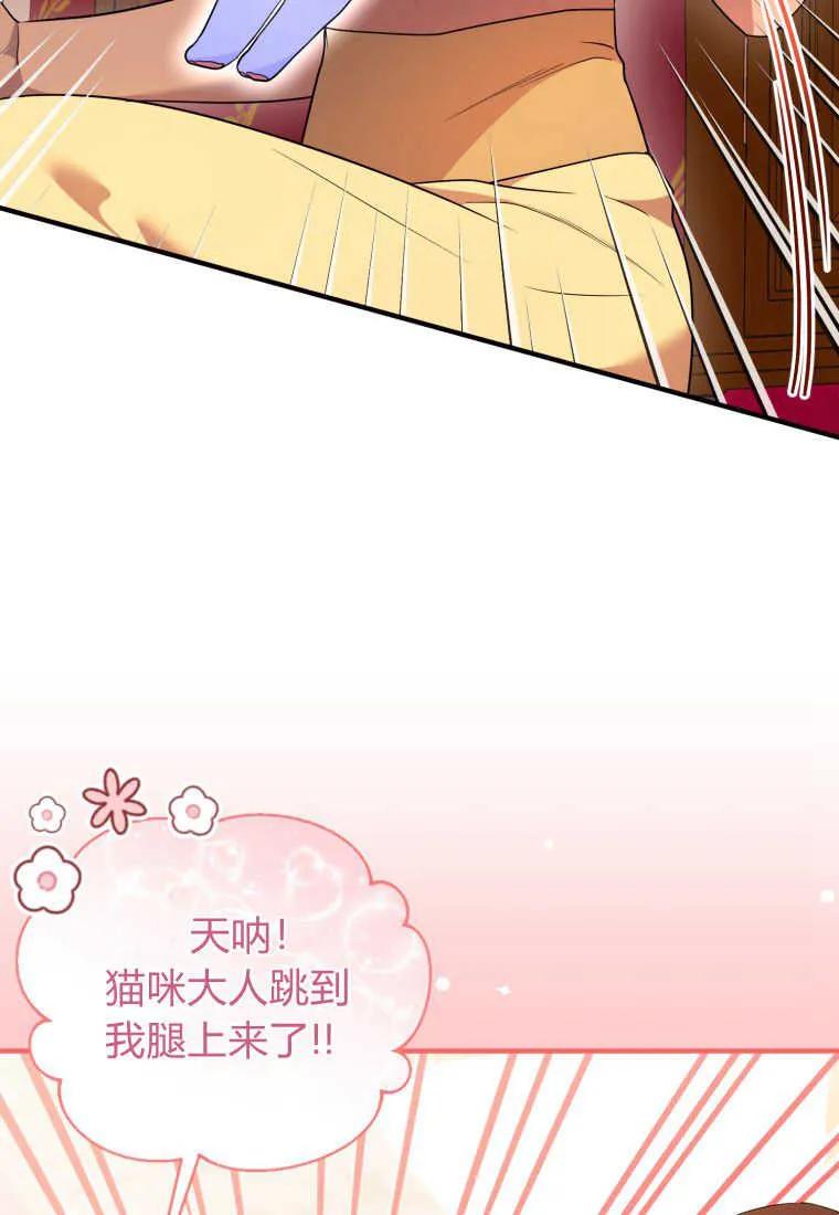 成为苏尔坦珍爱的猫咪 第24话 第11页