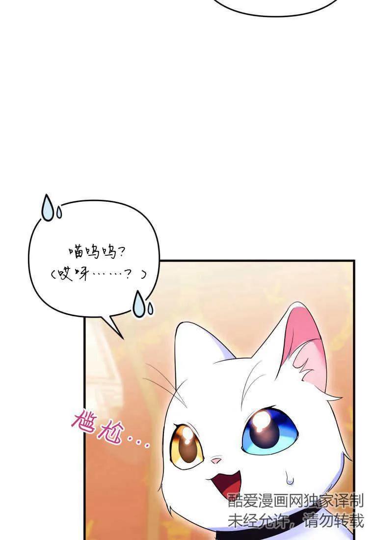 成为苏尔坦珍爱的猫咪 第24话 第24页