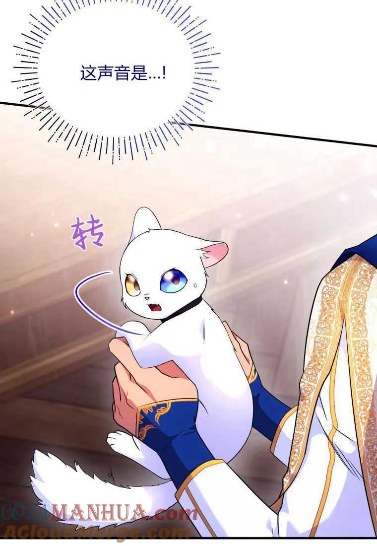 成为苏尔坦珍爱的猫咪 第24话 第49页