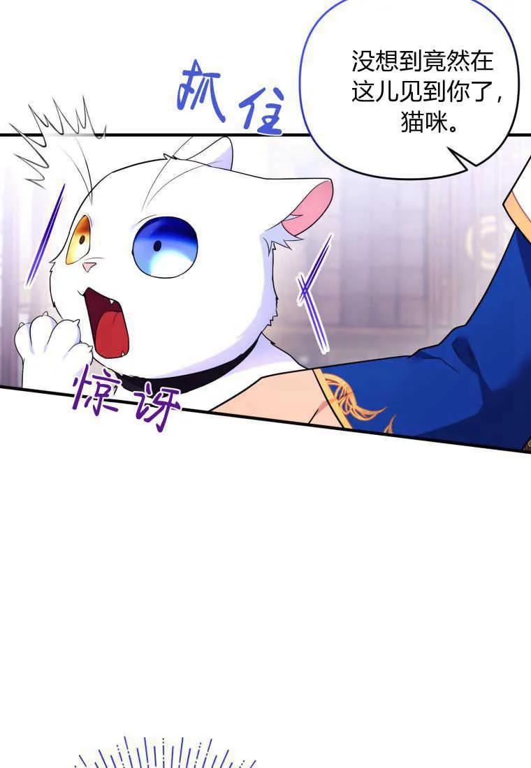 成为苏尔坦珍爱的猫咪 第24话 第48页