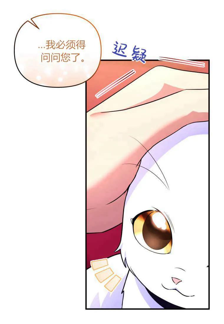 成为苏尔坦珍爱的猫咪 第24话 第30页