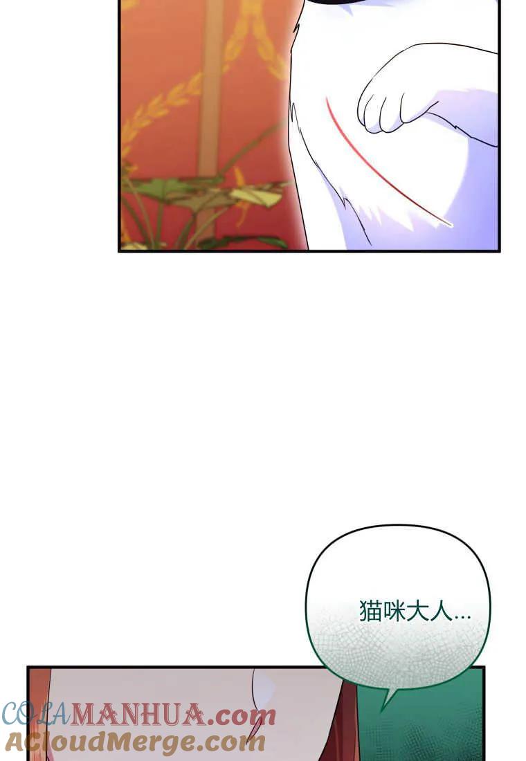 成为苏尔坦珍爱的猫咪 第24话 第25页