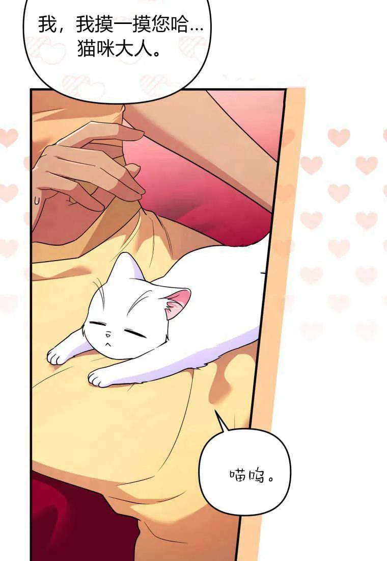 成为苏尔坦珍爱的猫咪 第24话 第14页
