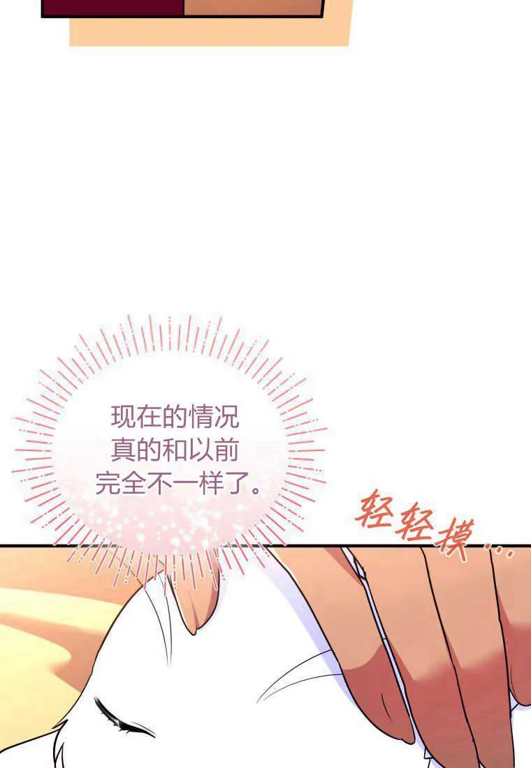 成为苏尔坦珍爱的猫咪 第24话 第15页