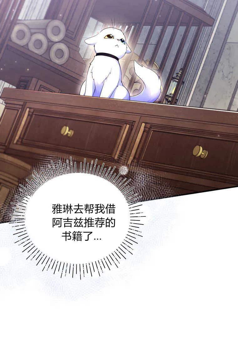 成为苏尔坦珍爱的猫咪 第24话 第44页