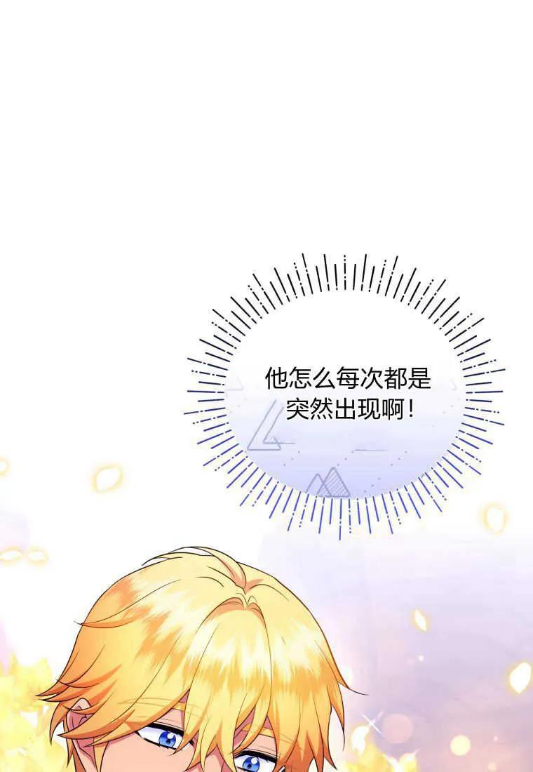 成为苏尔坦珍爱的猫咪 第24话 第50页