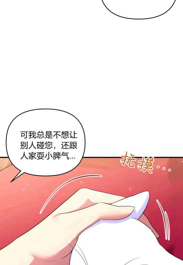 成为苏尔坦珍爱的猫咪 第24话 第28页