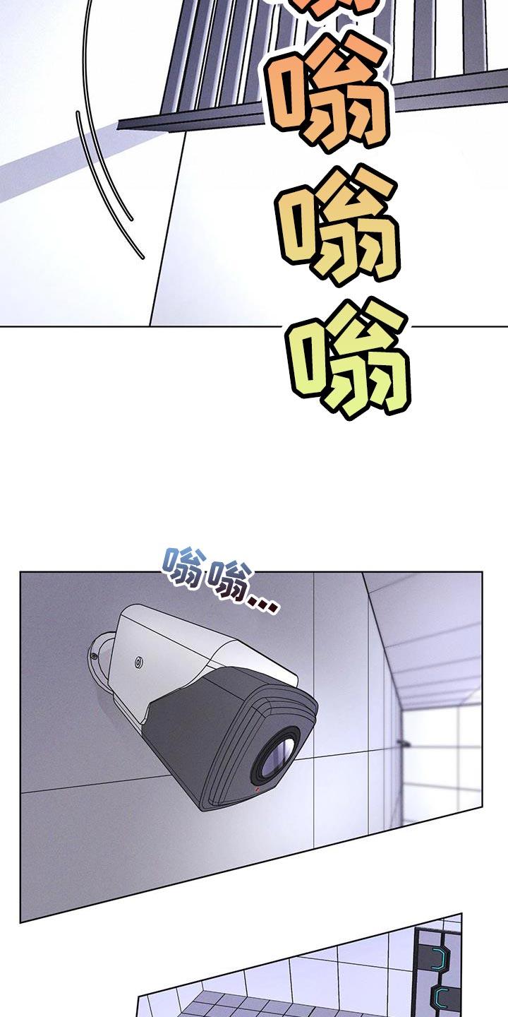 《彩虹城》第35章：不是真实情况 第16页