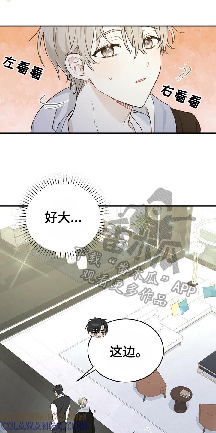 《糖不腻》第4章：带回家 第5页