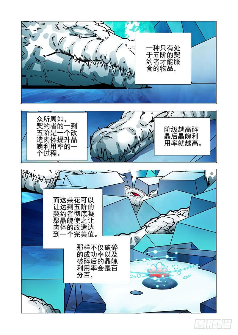 塔奇 绝望深渊篇33：完美碎晶之花 第15页