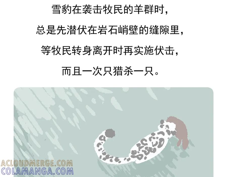 《胖达x胖达》第96话 第31页