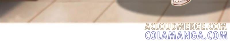 《误入婚途：叛逆娇妻不好惹》见面车祸 第25页