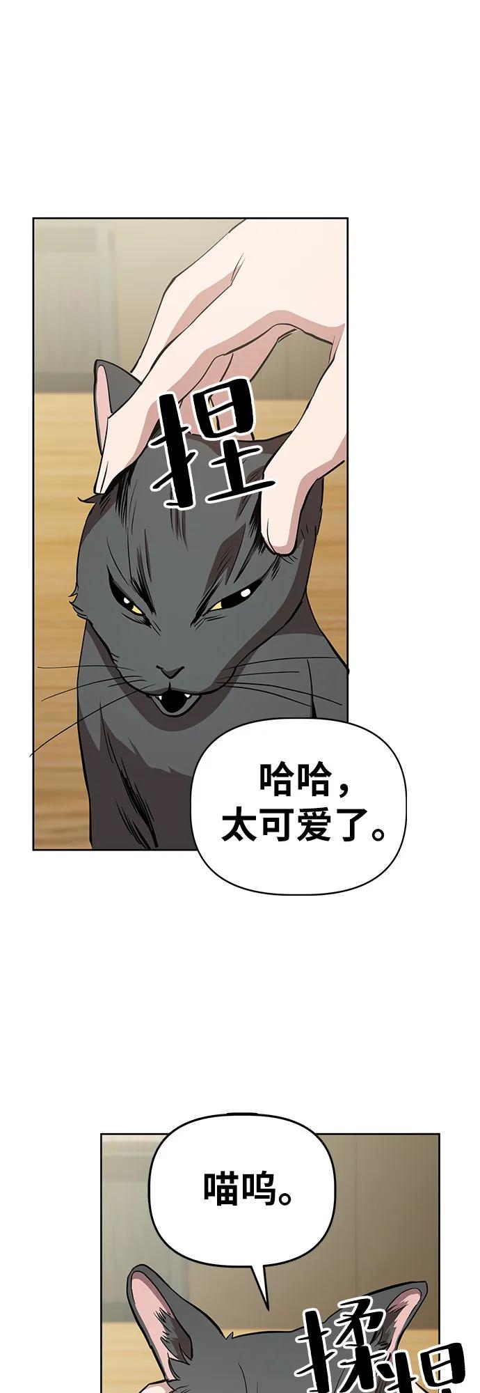《躺平宅女吴柿柿》[第43话] 洗猫大作战 第36页