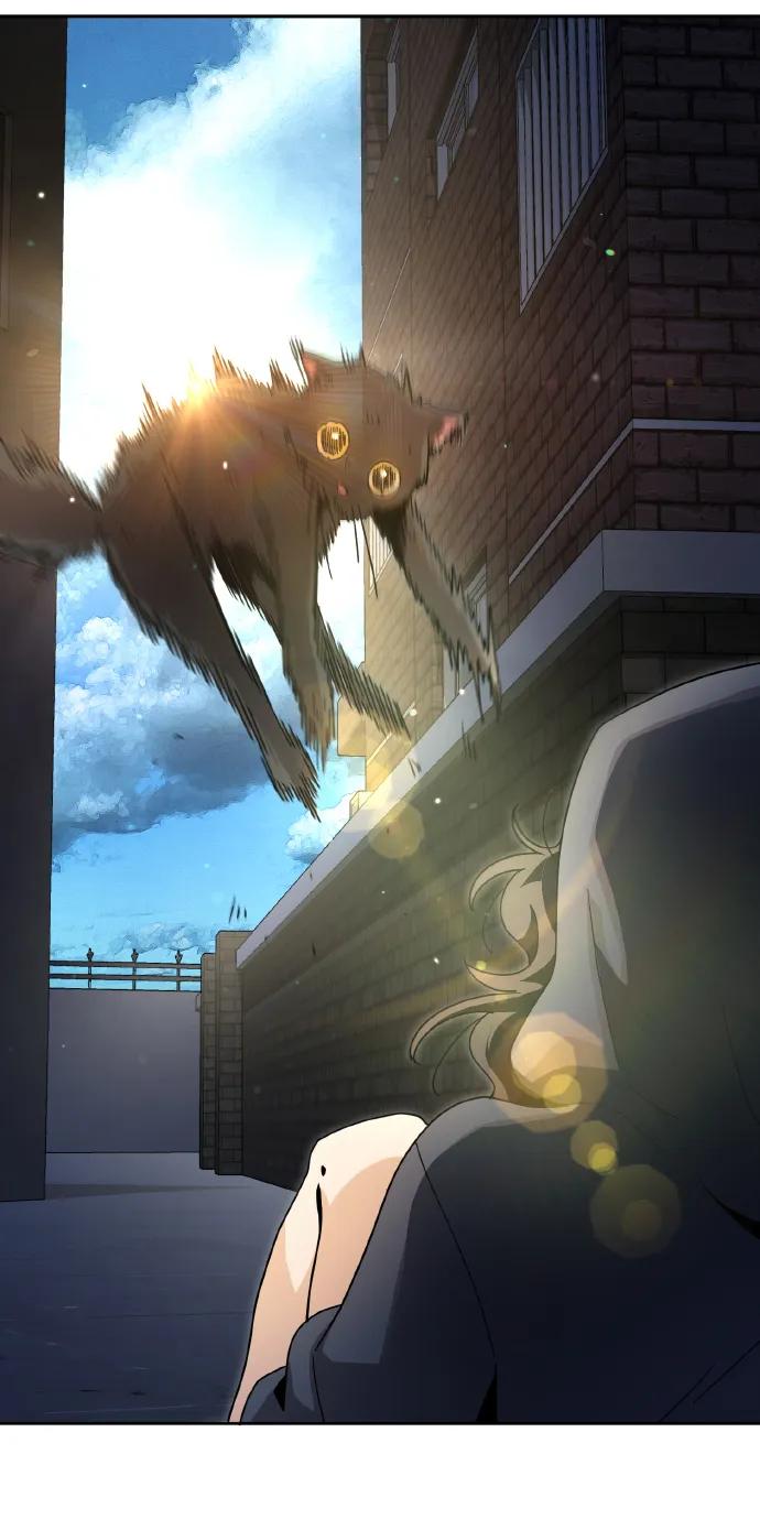 《躺平宅女吴柿柿》[第5话] 讨厌猫 第56页