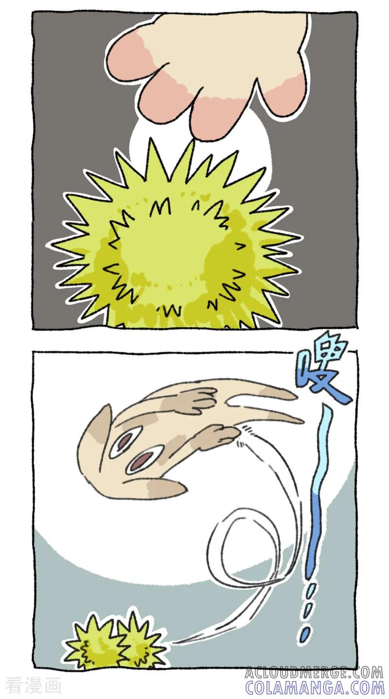 《不切传说》第43话 栗子记 第5页