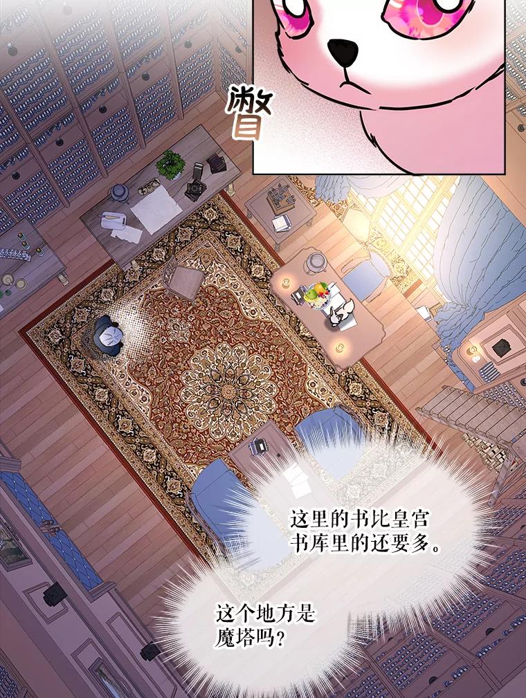 重生为神兽宝宝 - 4.绑架 - 第41张图