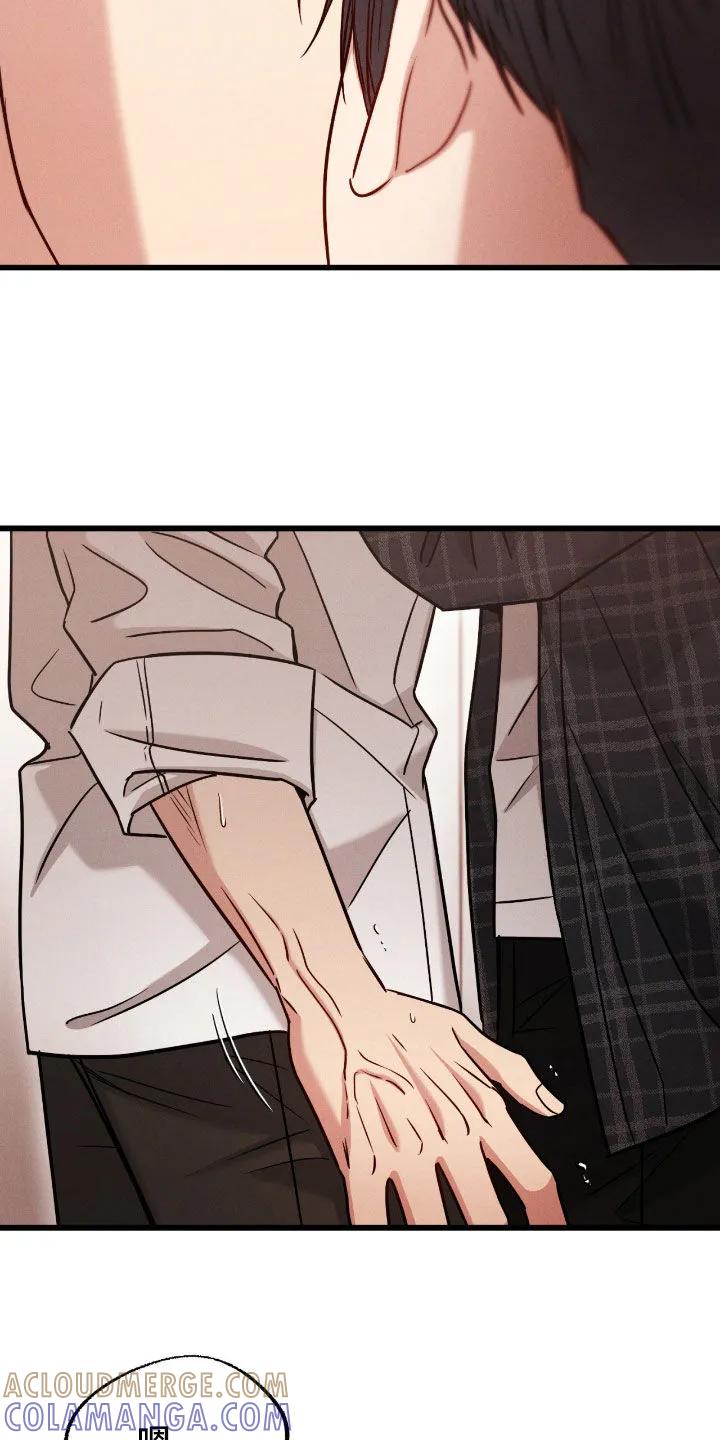 《强制暗示》第113章：【番外】我爱你 第3页