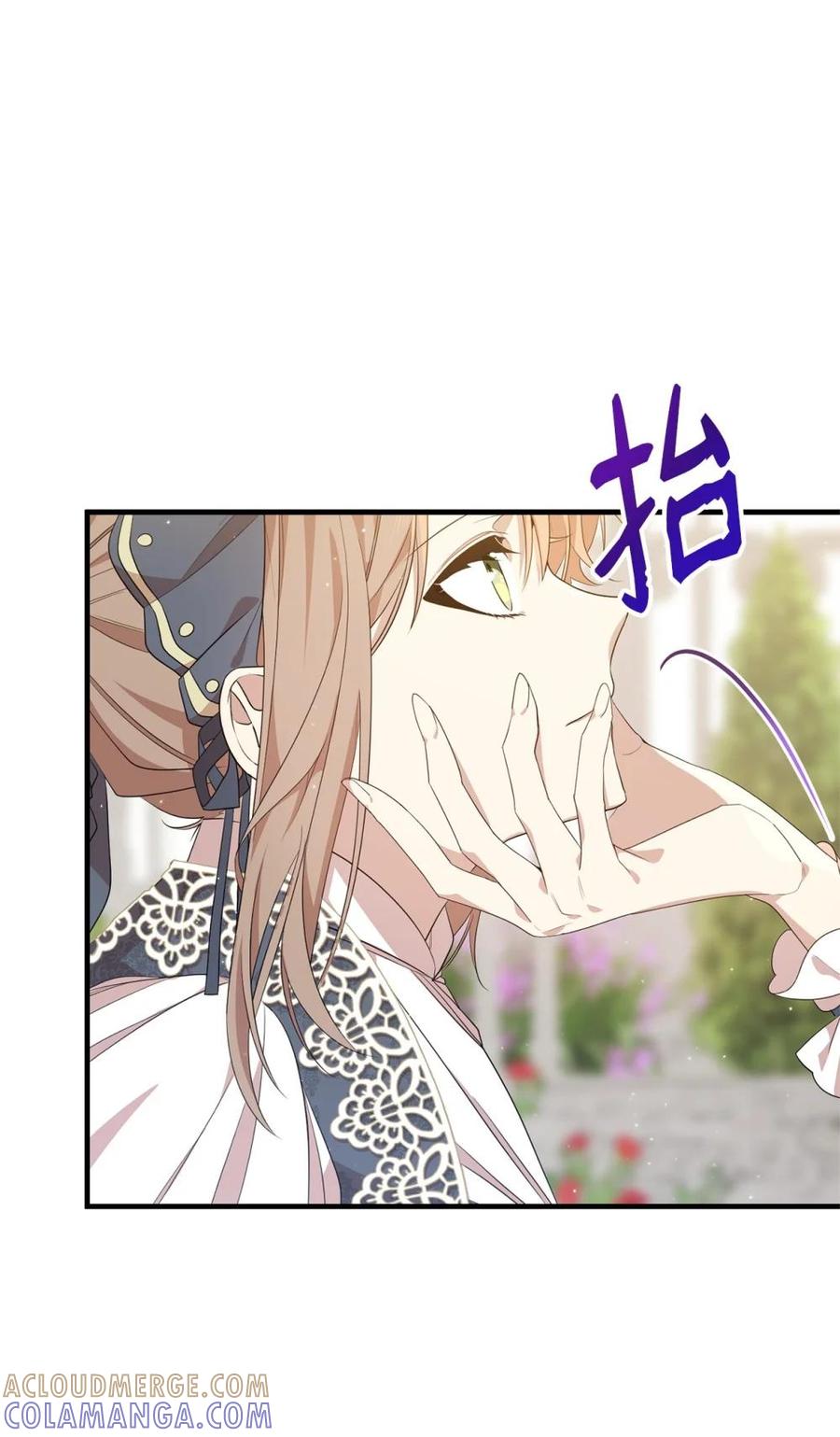 《虽然是魂穿游戏世界里女主的姐粉》15 拜访皇宫 第52页