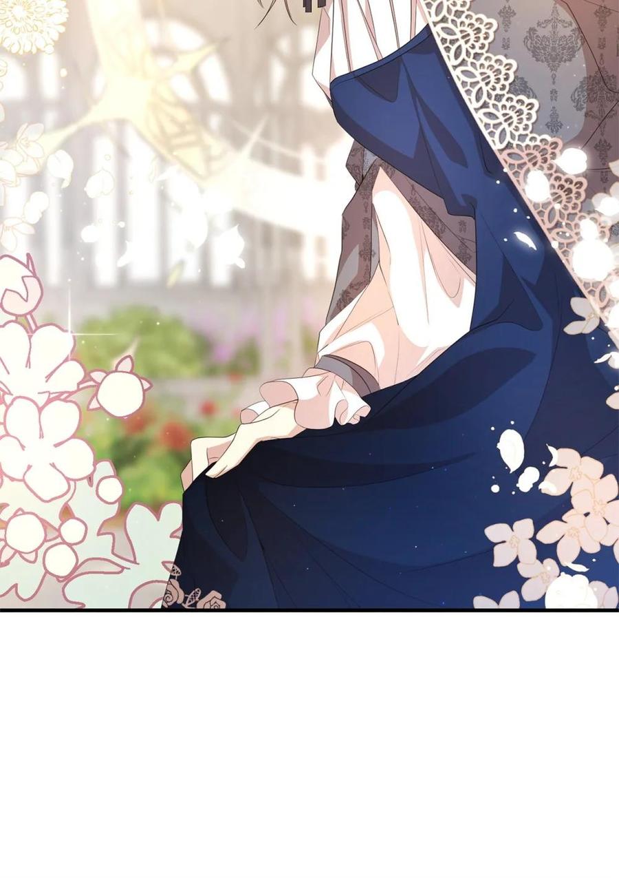 《虽然是魂穿游戏世界里女主的姐粉》15 拜访皇宫 第42页