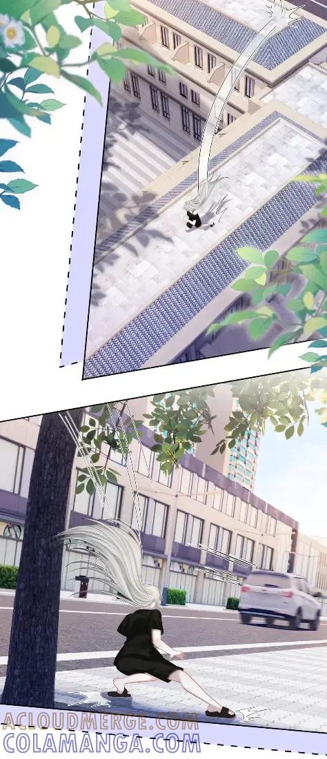 《黑夜轻吻我》23 怎么还不来找我 第21页