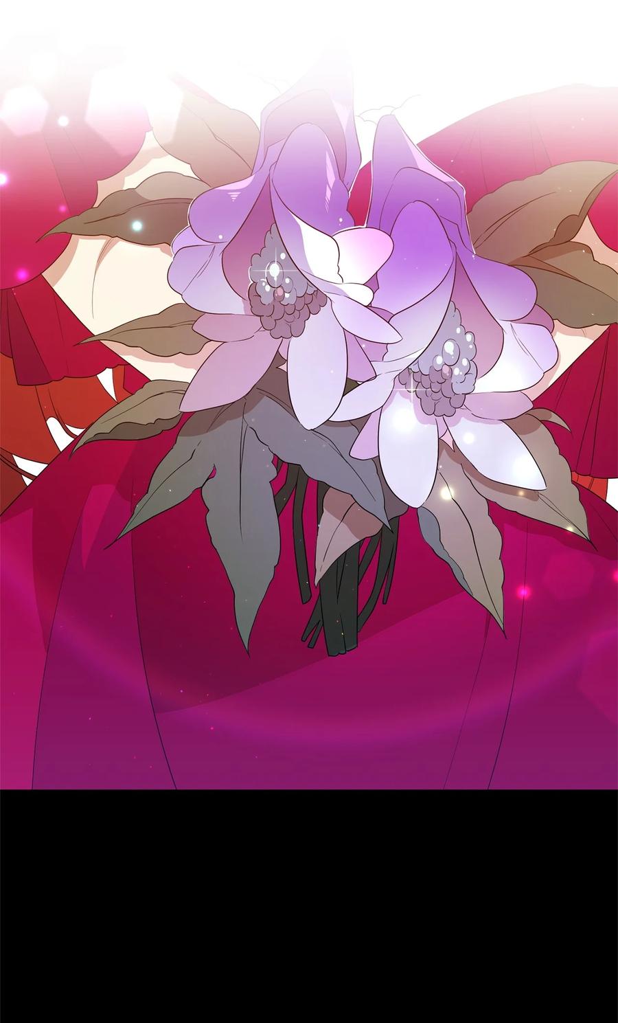 《虽然是魂穿游戏世界里女主的姐粉》08 魔法师 第2页