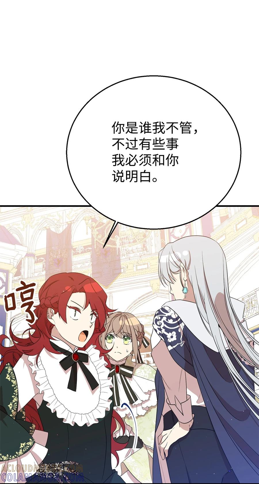 《虽然是魂穿游戏世界里女主的姐粉》08 魔法师 第43页