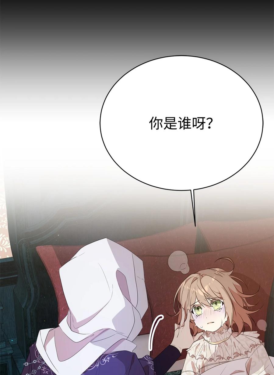 《虽然是魂穿游戏世界里女主的姐粉》08 魔法师 第20页