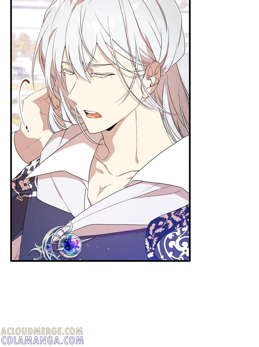 《虽然是魂穿游戏世界里女主的姐粉》08 魔法师 第37页