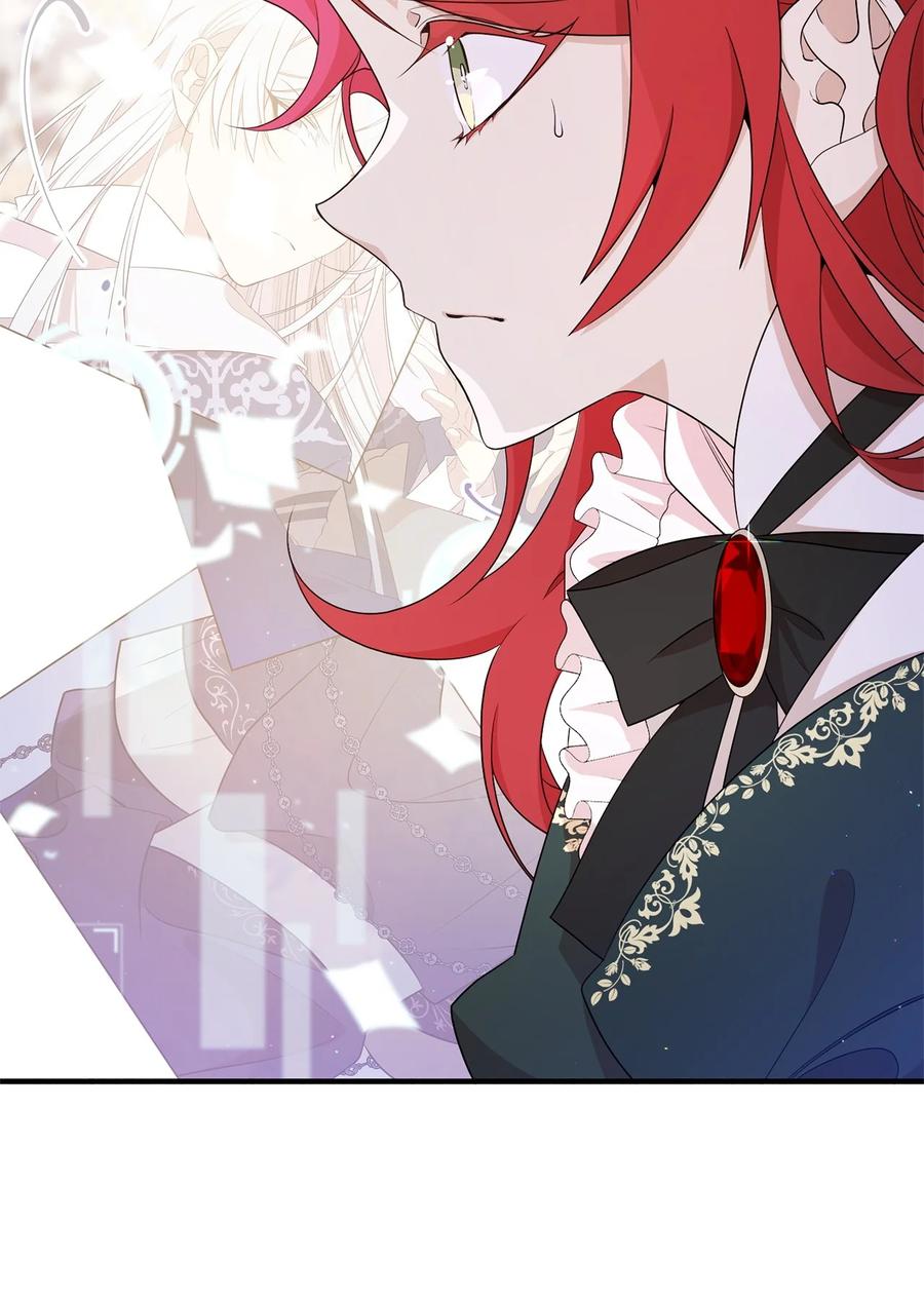 《虽然是魂穿游戏世界里女主的姐粉》08 魔法师 第77页